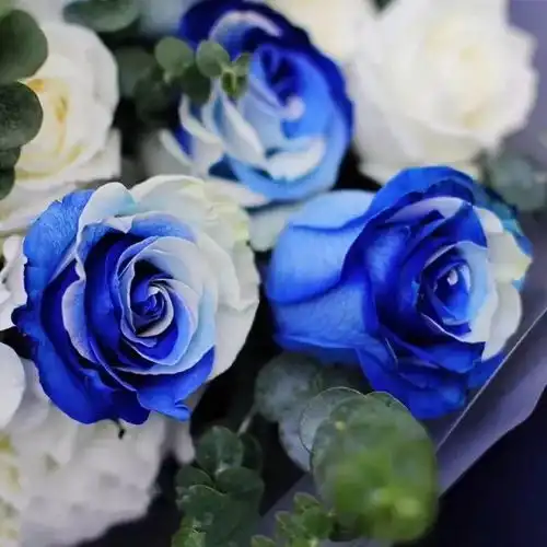  今天情人节相约今晚1900学科考纲直播解析,带你一图领略教综新大纲变化