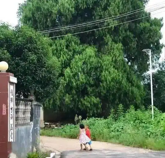  永新月峰水库,令人浮想联翩的桃源