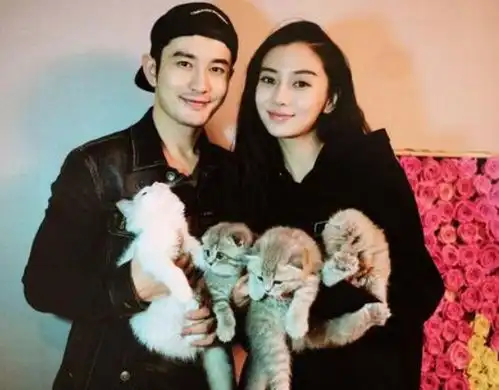  国内首档离婚综艺来了,热恋情侣我选鹿晗关晓彤,明星夫妻你选谁