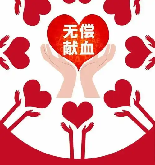 公司动态