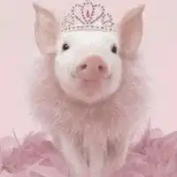  关于宠物猪的情侣头像微信头像图片大全
