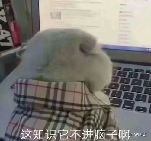  八天初会学习全记录