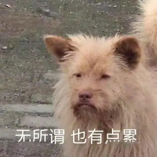  我必须告诉你一个事实身体健康衣食无忧亲人健在,就是高配人生