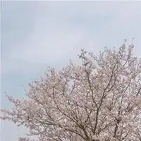  微信头像大全风景意境微信头像图片大全