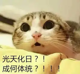  听说你是南方银要来北方上学别怕