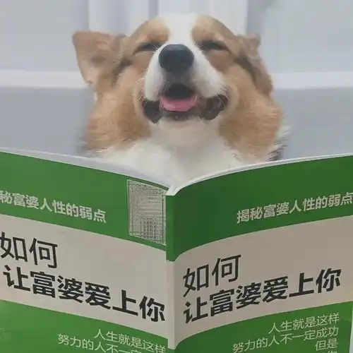  动漫头像别人都在种小麦,我种玫瑰,我饿死,浪漫不死