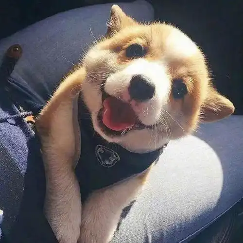  总在晚上不愿意睡去,害怕一个人独处的孤独,总在热闹和人群中麻痹自己,却又莫名悲伤,怎么摆脱这种孤独感