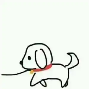  高颜值狗狗情侣头像来了,无水印自取哈