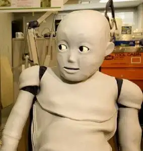  这个表情包出自什么的就是图片里的萌物叫什么