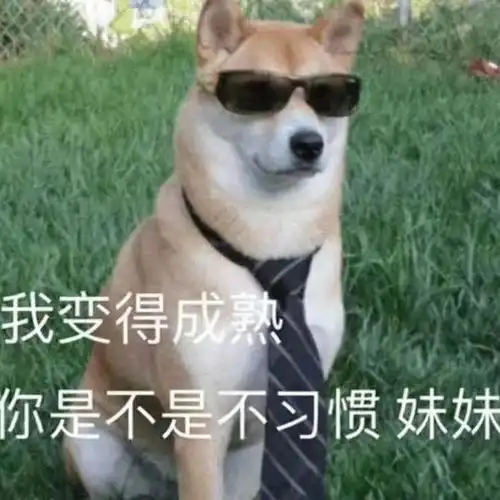  靠近cover罗震环