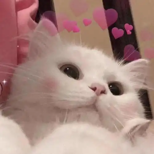  曲江创文这些顺手小事,真暖