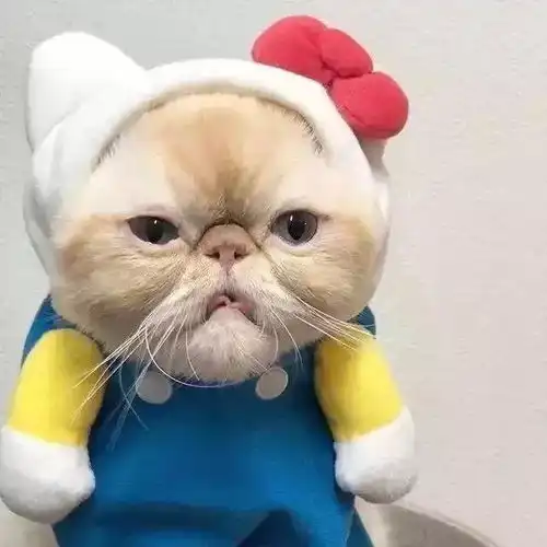  头像壁纸谈恋爱吗二缺你,你听过什么让你呼吸停滞的情话