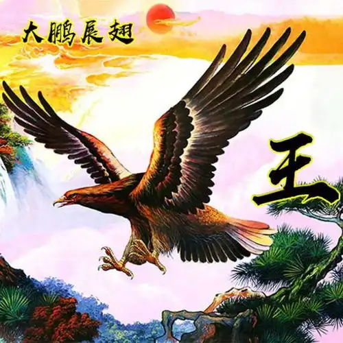 我姓王带字的图片壁纸