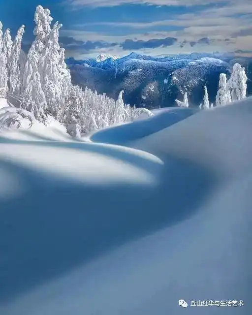  朗诵冬,薄情里的深情