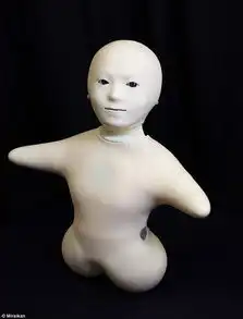  超真实机器人取代真人