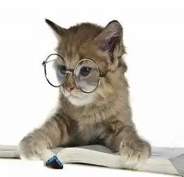  美丽岛眼镜知识普及