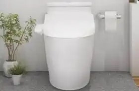  2万卖女儿买猫情侣通过论坛qq群网上找买家卖女儿