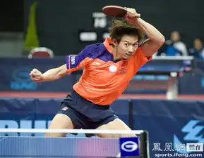  德国公开赛国乒仅收获一金马龙43逆转张继科夺冠