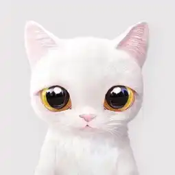 星梦肥猫