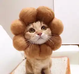  final季你需要的期末复习宝典