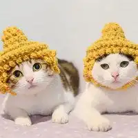  瓜皮和萌萌的情侣头像卡通微信头像图片大全