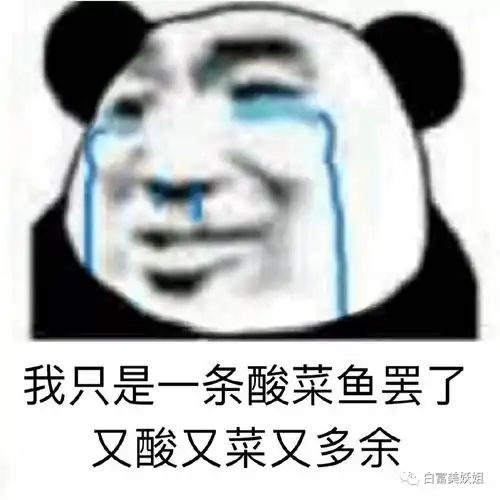  王思聪新女友竟然是雪梨介绍的