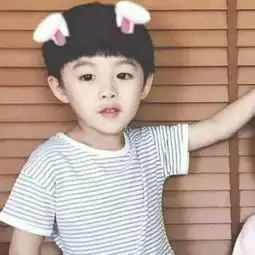  这个照片有没有另一半的,急求