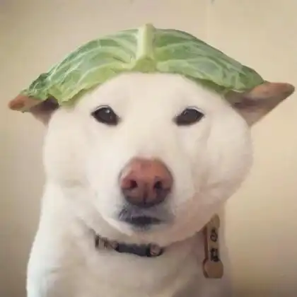  有些人对你好,是先甜后苦