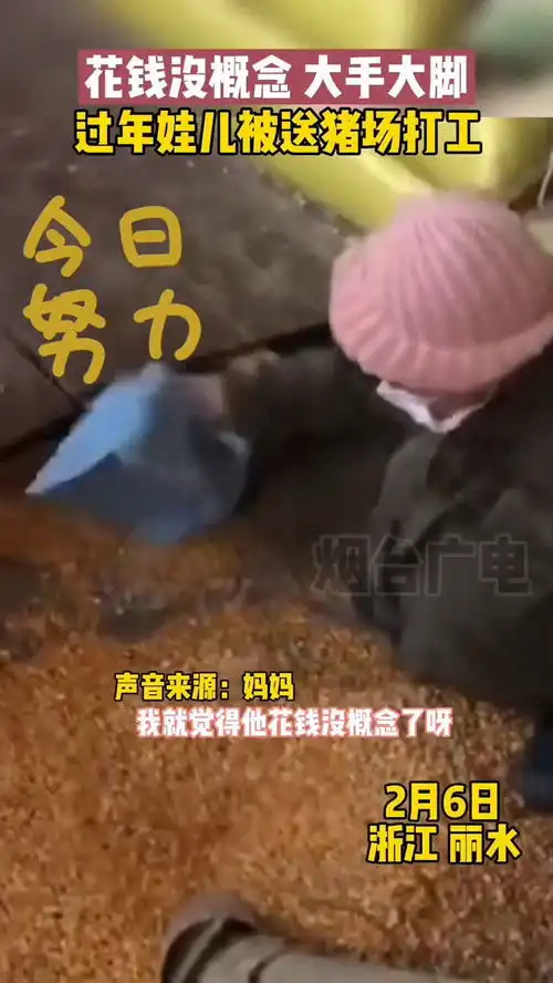  孩子花钱大手大脚,妈妈送娃进猪场体验生活不易
