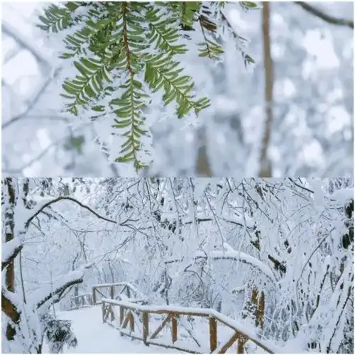  2021,四川雪景宝典第一部