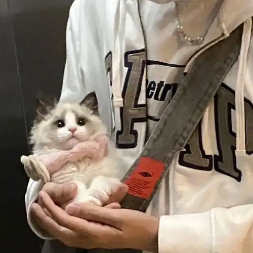  10张高级感微信头像,男生必备