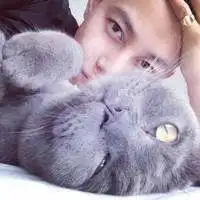  情侣抱猫头像一对两张微信头像图片大全