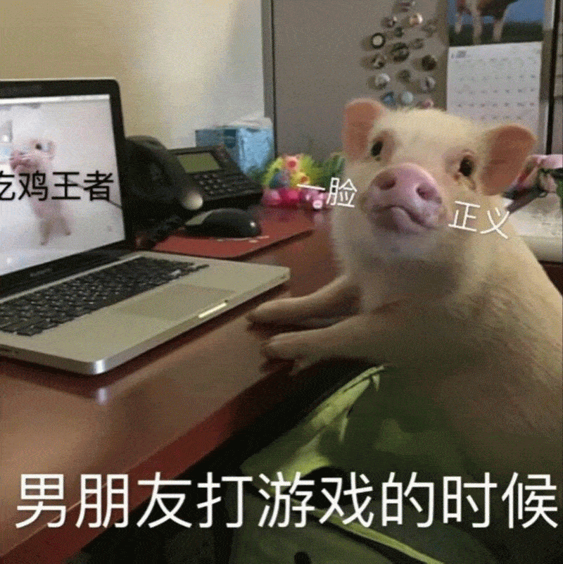  情侣小猪猪表情包我这么可爱,别人捡到是不会还给你的