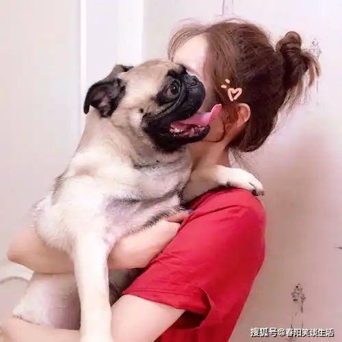 qq最炫的伤感个性签名,句句扎心,让人思绪如一团乱麻