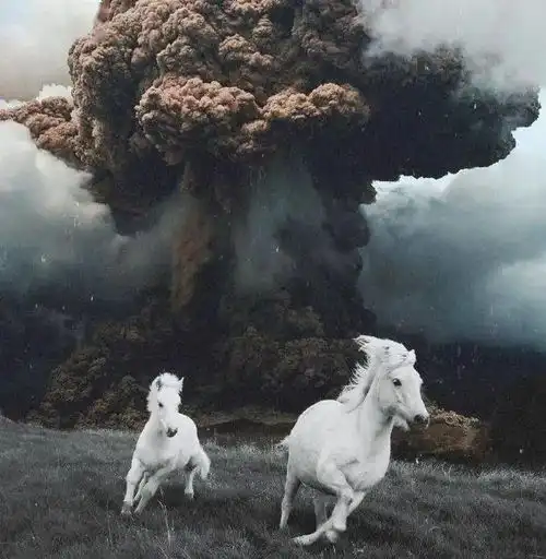  头像背景丨前尘隔海古屋不再