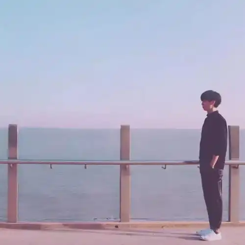  总有些句子走进心里