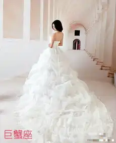 十二星座的婚纱项链戒指和高跟鞋