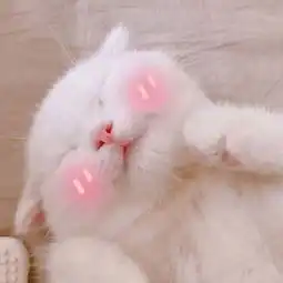 渡辺娅的微博微博