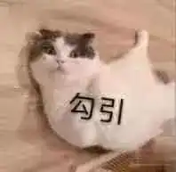  搞笑合集哈哈哈哈笑断气哈哈哈哈