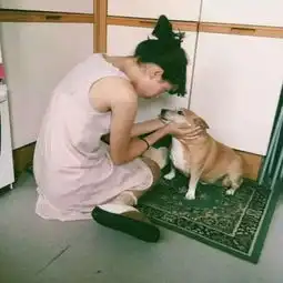 人狗的头像,一块