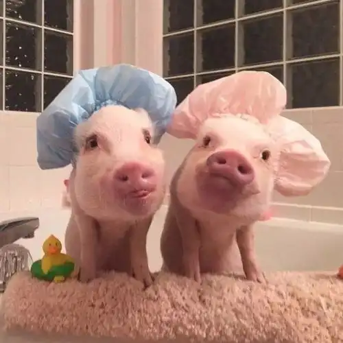  终于找到能让情侣更亲近的东西了......