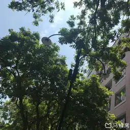厦门闺蜜五日游