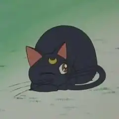  美少女战士露娜猫头像图片大全