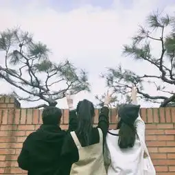  女头女生头像闺蜜头像小清新剪刀手背堆糖,美好生活研究所