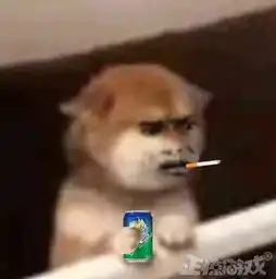  游戏能有多无聊没有任何操作,只能站在原地盯着图片看一下午