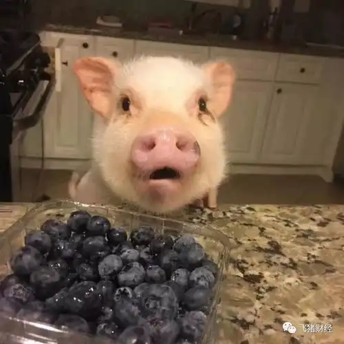  明天该冲高回落了