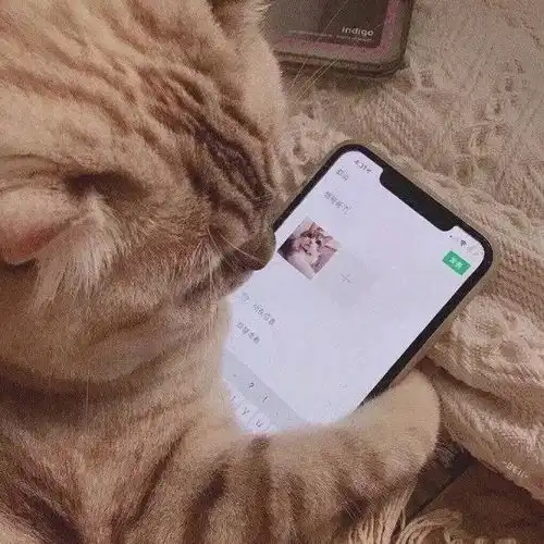  100张无敌沙雕又可爱的表情包好看死了快来收图