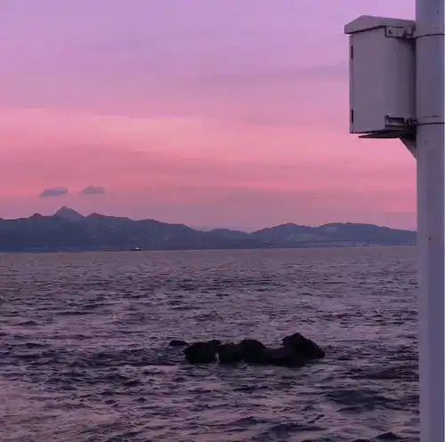  过情人节的正确方式想和你一起,共赏落日余晖