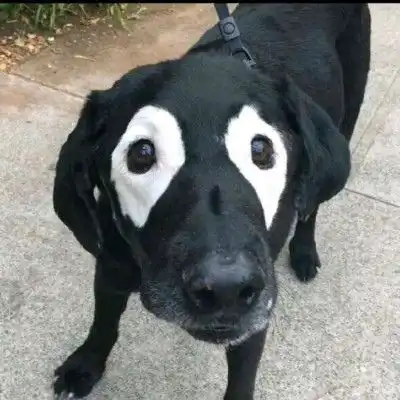  黎沐.沙雕情头第一弹有对象的情侣头像我要个性网