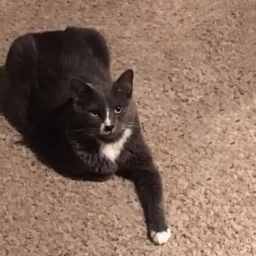  福利110张情侣头像任你选